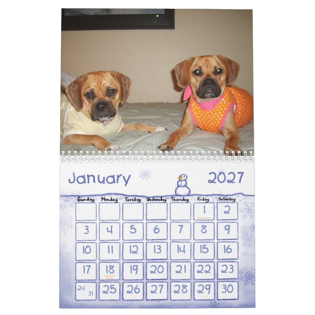 Calendário de Puggle (Jan 2027)