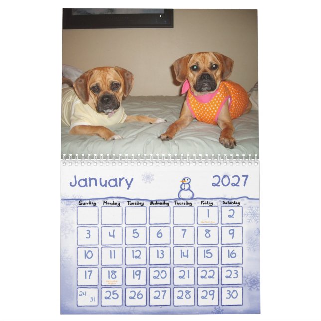 Calendário de Puggle (Jan 2027)