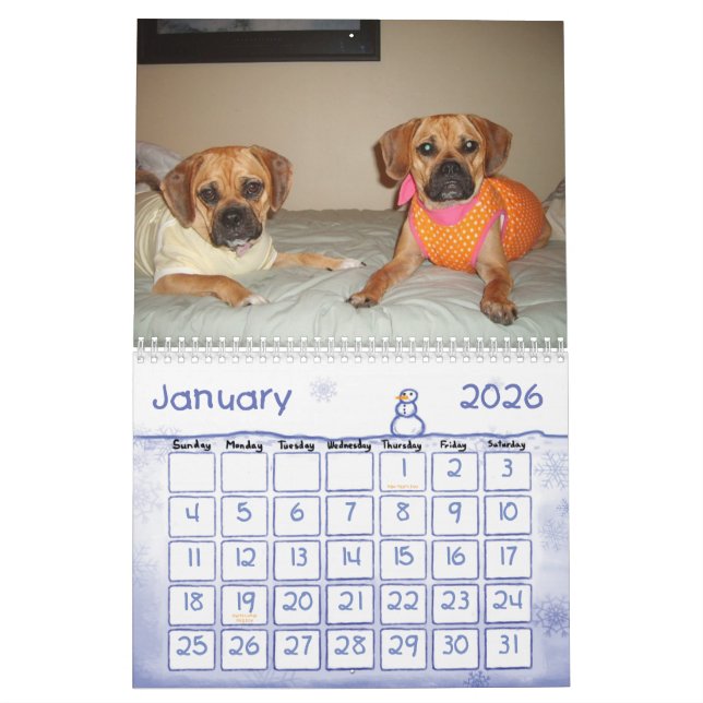 Calendário de Puggle (Jan 2026)