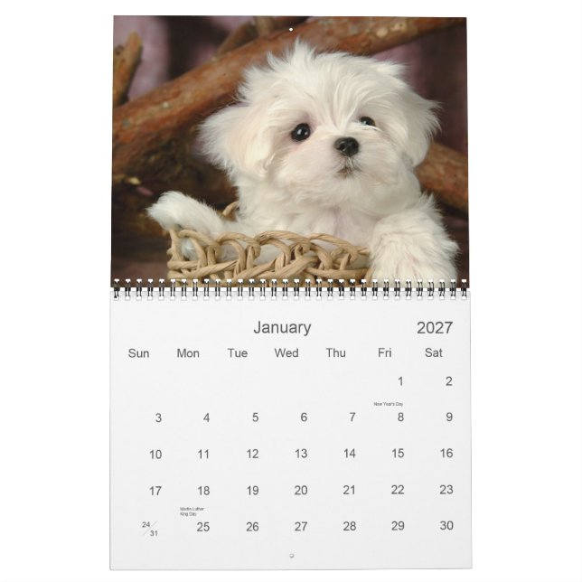 Calendário de Puppy Cute (Jan 2027)