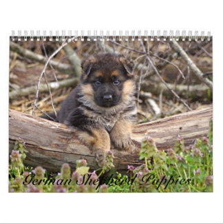 Calendário de Puppy do german shepherd 2016