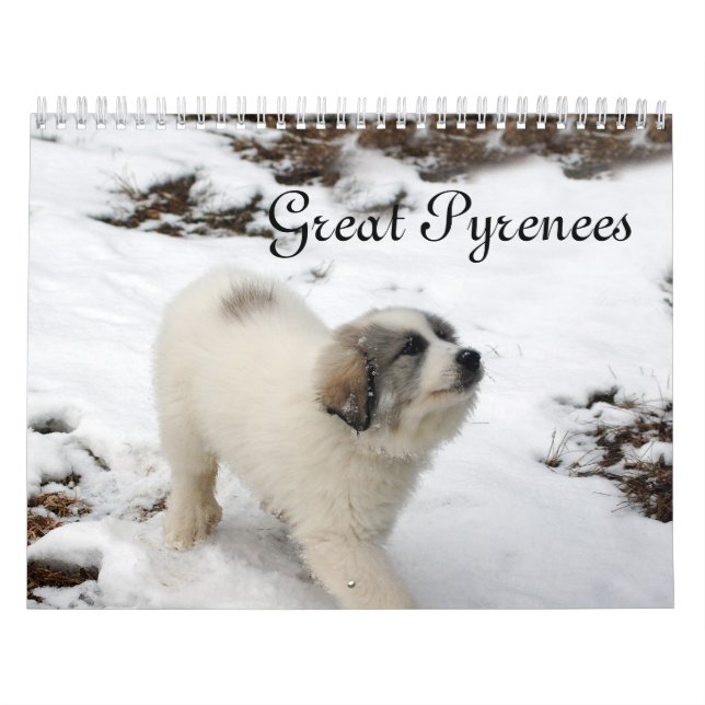 Calendário de Puppy dos Pirenéus do Excelente 2016 (Capa)