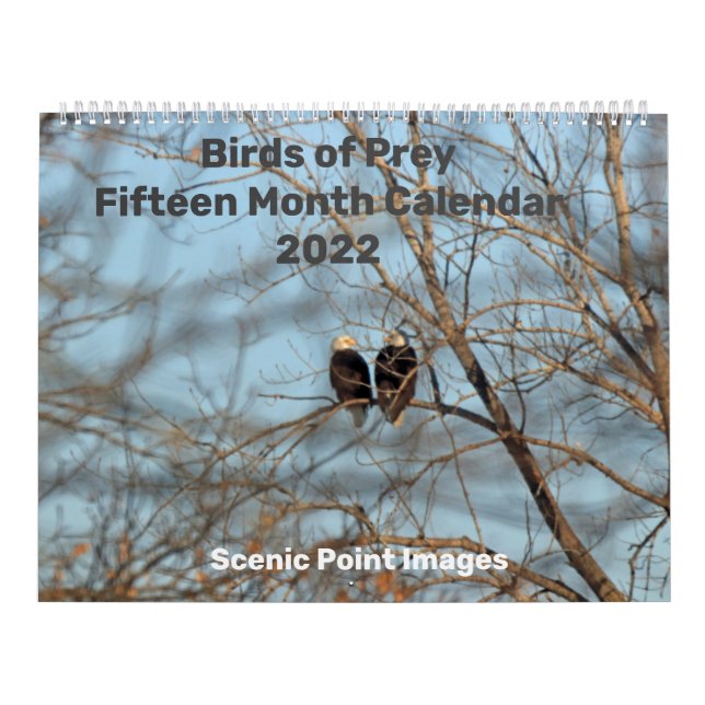 Calendário de Quinze Meses de Aves de 2022 (Capa)