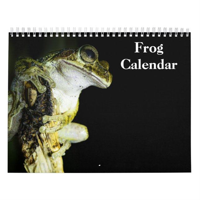 calendário de rãs 2027 (Capa)