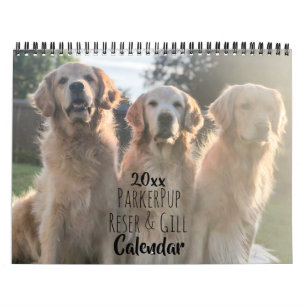 Calendário de Recuperação de Ouros do ParkerPup
