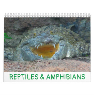 Calendário de Répteis e Anfíbios