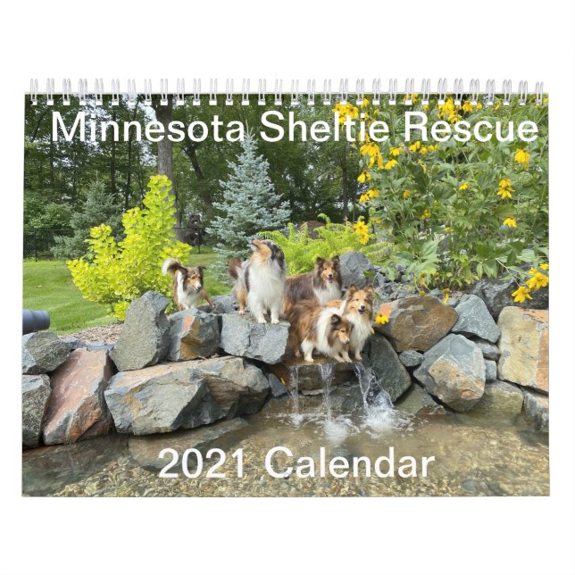 Calendário de Resgate de Minnesota 2021 (Capa)