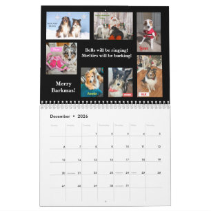 Calendário de Resgate de Sheltie de Minnesota de 2