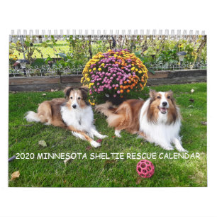 CALENDÁRIO DE RESGATE MINNESOTA SHELTIE 2020