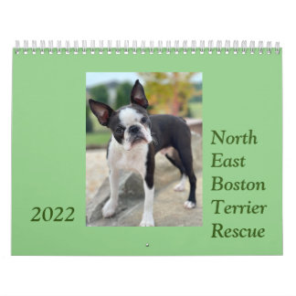 Calendário de Resgate Terrier de Boston 2022 Norde