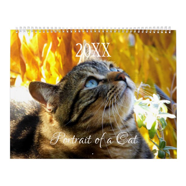 Calendário de Retrato de um Gato - HAMbyWG (Capa)