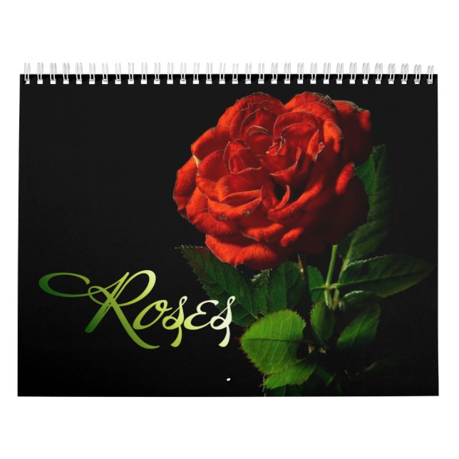Calendário de rosas (Capa)
