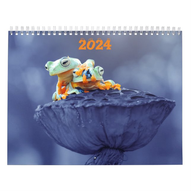 Calendário de Sapos 2024 (Capa)