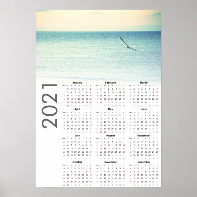 Calendário de Seagull 2021 Poster - Domingo primei (Frente)