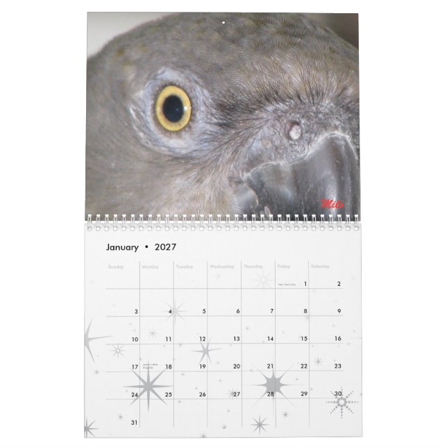 Calendário de Senegals 2009 - personalizado (Jan 2027)