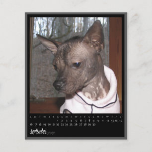 calendário de setembro de 2012