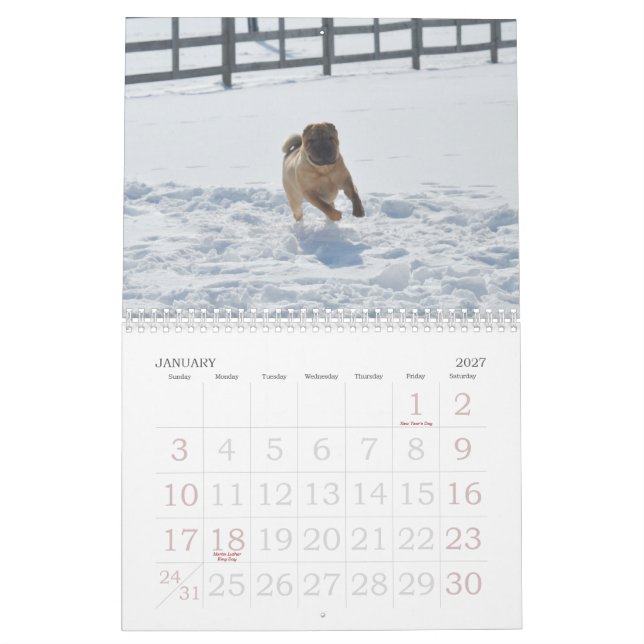 Calendário de Shar-pei do chinês (Jan 2027)