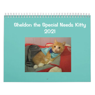 Calendário de Sheldon 2021