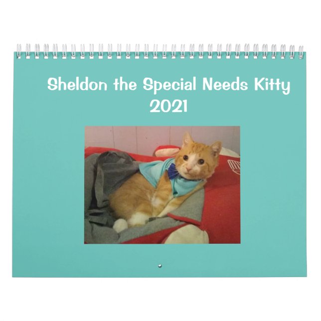 Calendário de Sheldon 2021 (Capa)