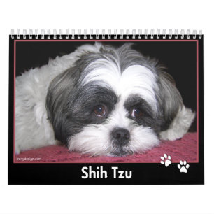 Calendário de Shih Tzu