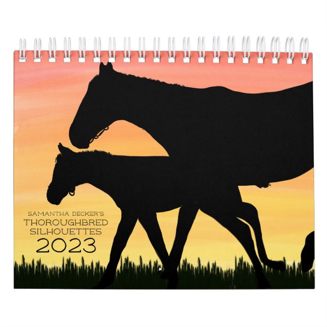 Calendário de Silhouettes 2023 de Progenio (Capa)