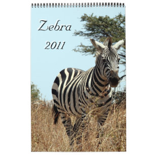 calendário de solteiros zebra 2011