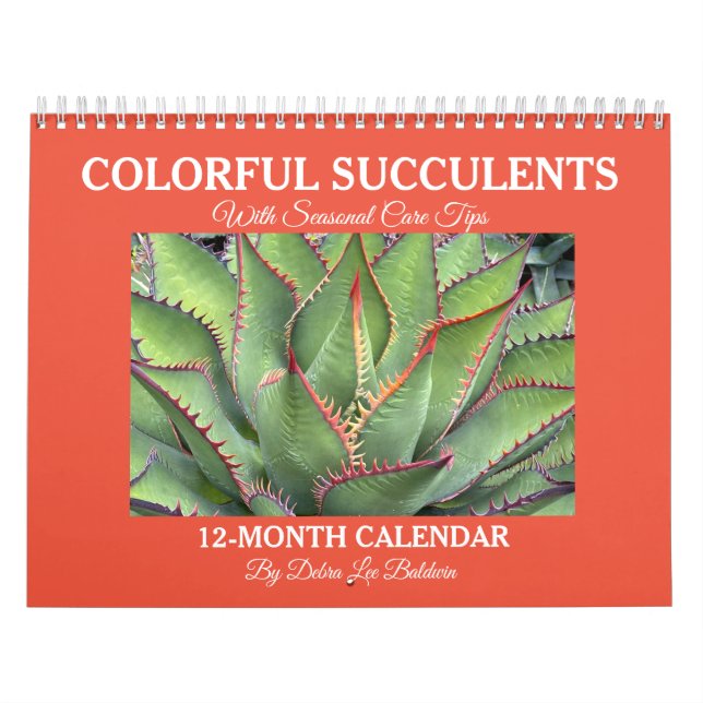 Calendário de Suculentos Coloridos com Dicas de Cu (Capa)