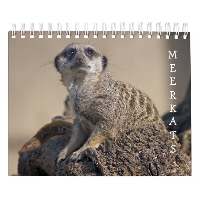 Calendário de Suricatos (Capa)