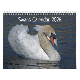 Calendário de Swans