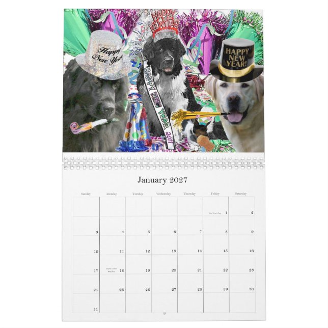 Calendário de Terra Nova (Jan 2027)