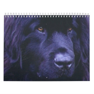Calendário de Terra Nova