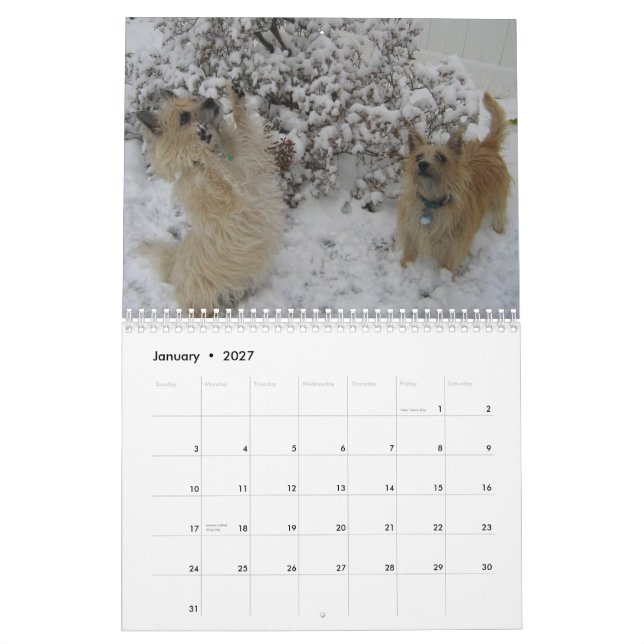 Calendário de Terrier de monte de pedras 2010 (Jan 2027)