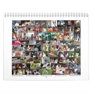 Calendário de Terrier de rato
