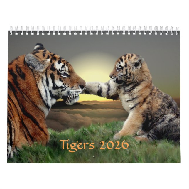 Calendário de Tigres (Capa)