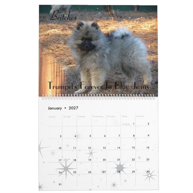 Calendário de Trumpet Keeshond 2012 (Jan 2027)