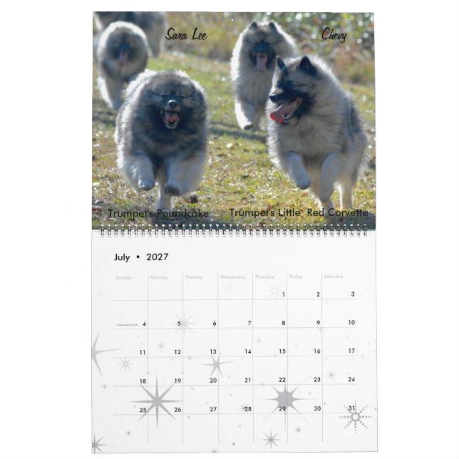 Calendário de Trumpet Keeshond 2017 (Jul 2027)