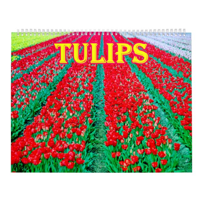 Calendário de tulipas (Capa)