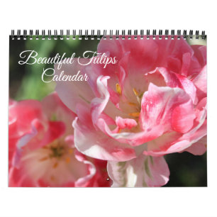 Calendário de Tulipas de Tamanho Médio