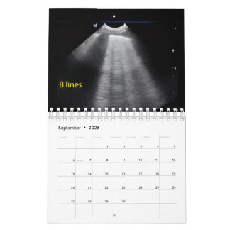 Calendário de Ultrassom Veterinário