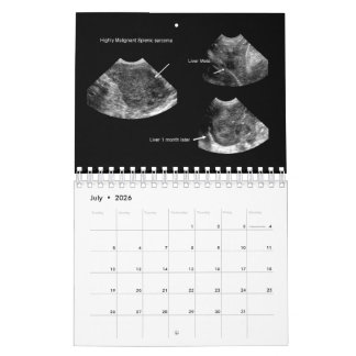 Calendário de Ultrassom Veterinário 2026