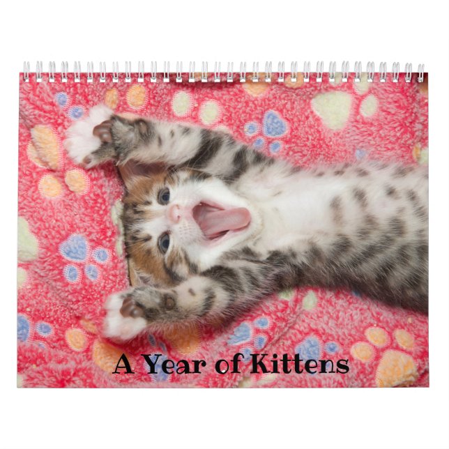 Calendário de um Ano de Gatinhos (Capa)