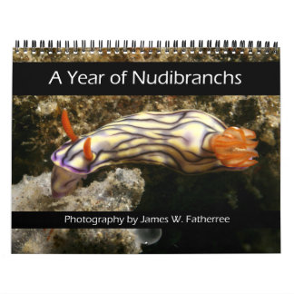 Calendário de Um Ano de Nudibrânquios