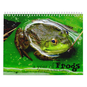 Calendário de um Ano de Sapos