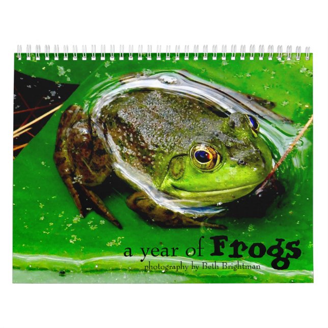 Calendário de um Ano de Sapos (Capa)