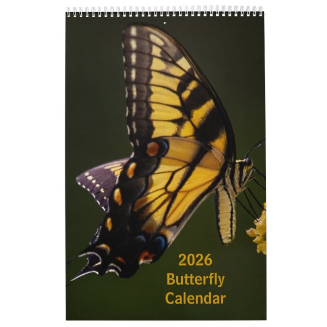 Calendário de Uma Página com Borboleta 2025 (Capa)