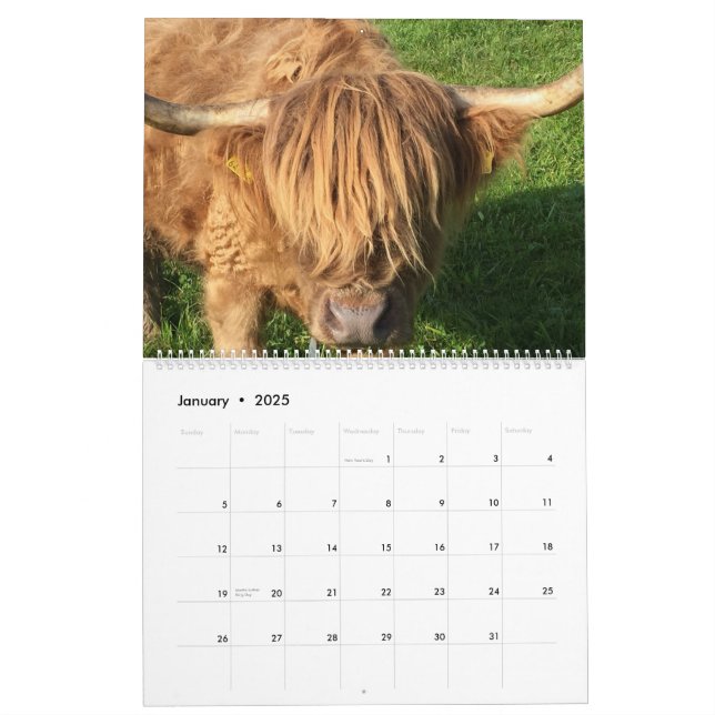 Calendário de Vacas (Jan 2025)