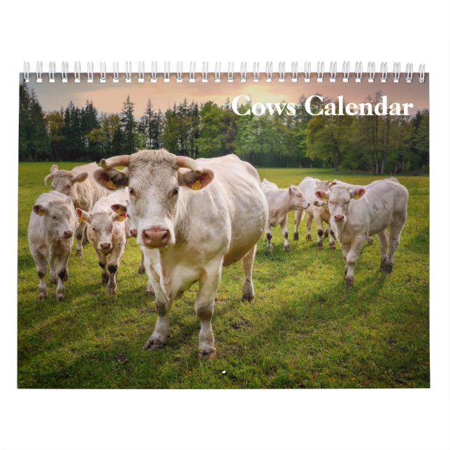 Calendário de Vacas 2027 (Capa)