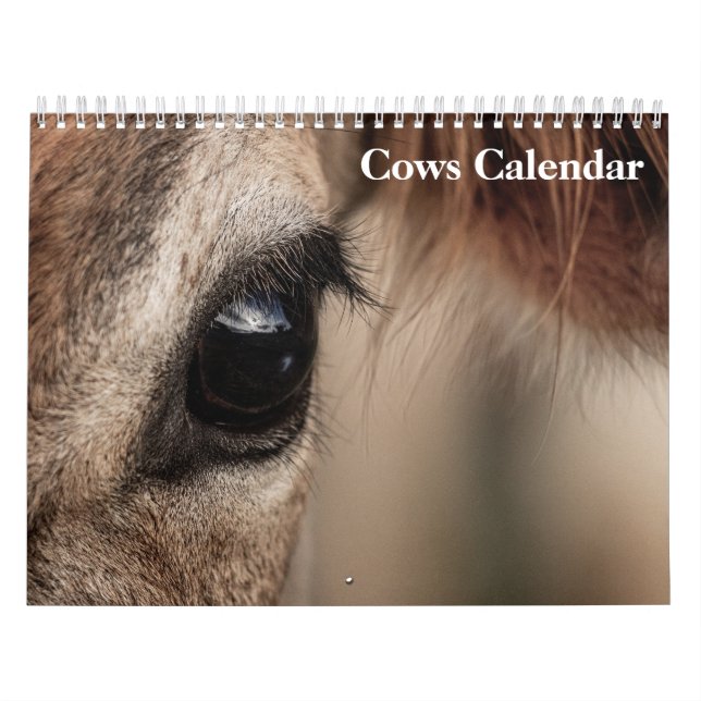 Calendário de Vacas 2027 (Capa)