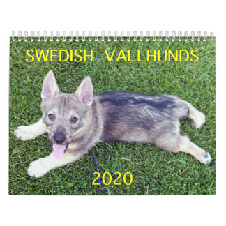CALENDÁRIO DE VALLHUND SUECO DE 2020
