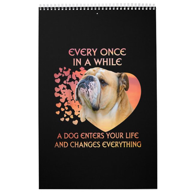 Calendário De Vez Em Quando Um Cachorro Entra Na Sua Vida (Capa)